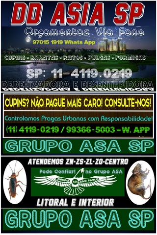 (                    1.0 dd asia aaron desentupidora dedetizadora sp dedetiza sp 11 4119 0219 display